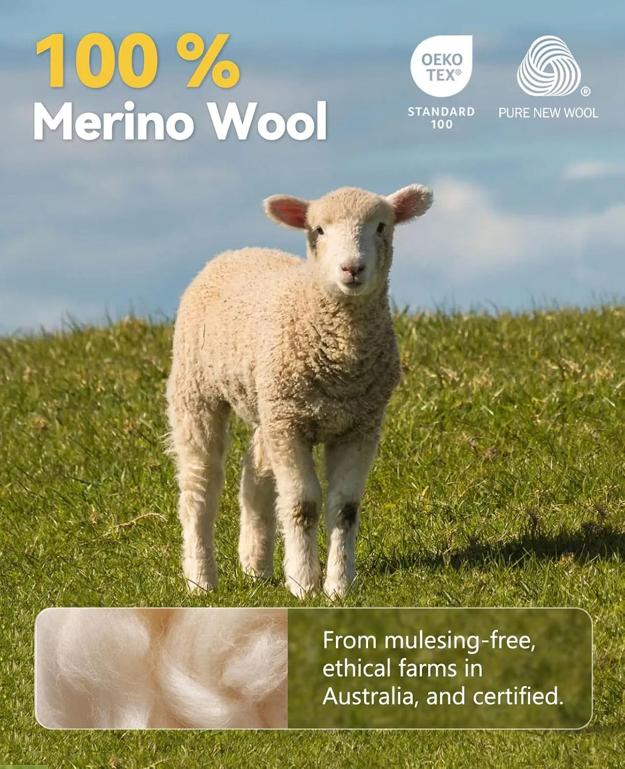Merino Protect 100% Merino Wool V-Neck T Shirts for Men Odor Resistance Base Layer Hiking Travel T-Shirt Soft Undershirt